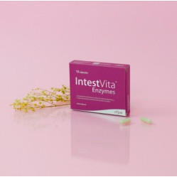 VITAE INTESTVITA ENZYMES 15 CAPSULAS